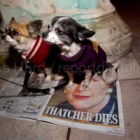 Thatcher Dies